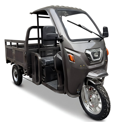 Electric Cargo Tricycle with Canopy Uzen X-Titan017