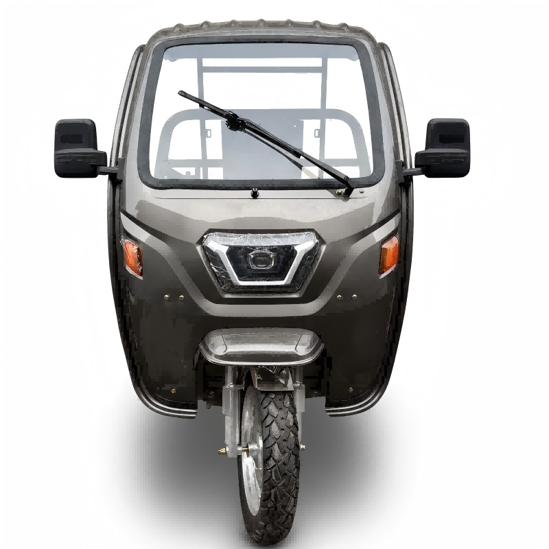 Electric Cargo Tricycle with Canopy Uzen X-Titan017