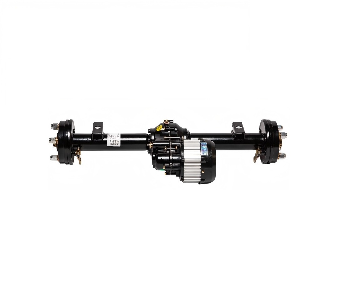Electric tricycle rear axle assembly with differential gearbox