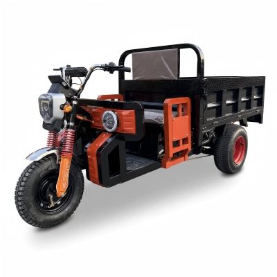 X-Titan Cargo Tricycle