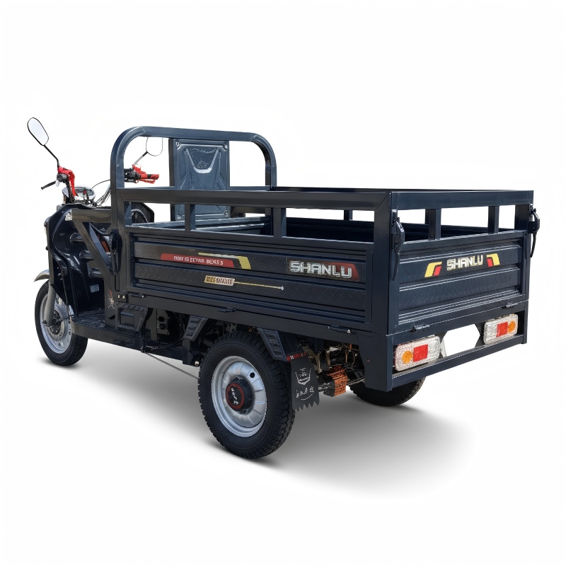 Heavy-Duty Electric Cargo Tricycle from China Utility Tricycle Factory